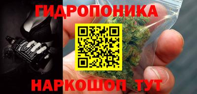 прущие грибы Можга