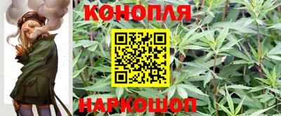 прущие грибы Можга
