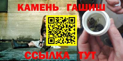 прущие грибы Можга
