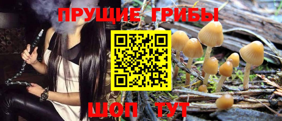 Галлюциногенные грибы Psilocybine cubensis  Псилоцибиновые грибы Psilocybe  Вход с VPN  Улан-Удэ 